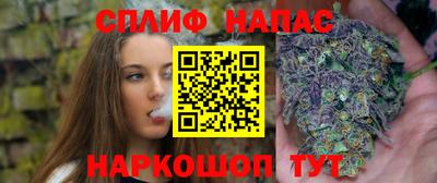 гидропоника Камышлов