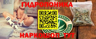 a pvp Канаш