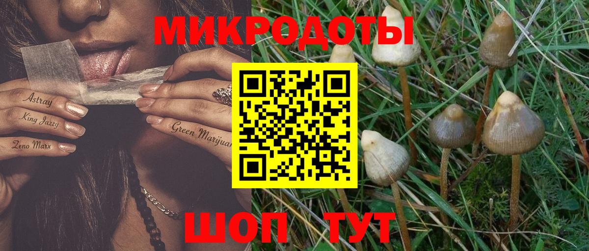 Старая Русса  Галлюциногенные грибы GOLDEN TEACHER  Галлюциногенные грибы Magic Shrooms  Вход с VPN 
