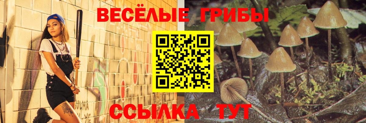 Псилоцибиновые грибы Cubensis Старая Русса
